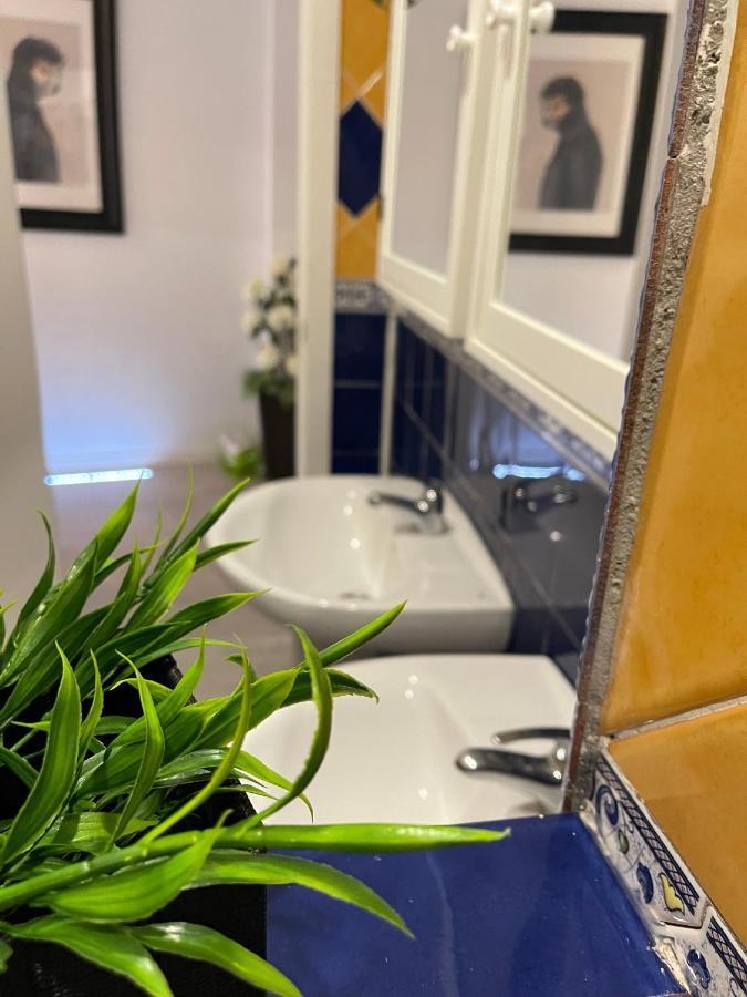 Dream Recova Apartment Санта Крус де Тенерифе Екстериор снимка