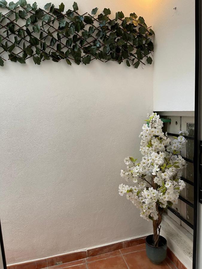 Dream Recova Apartment Санта Крус де Тенерифе Екстериор снимка