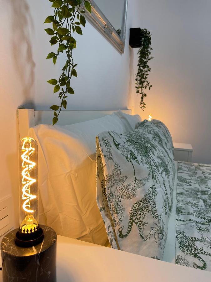 Dream Recova Apartment Санта Крус де Тенерифе Екстериор снимка