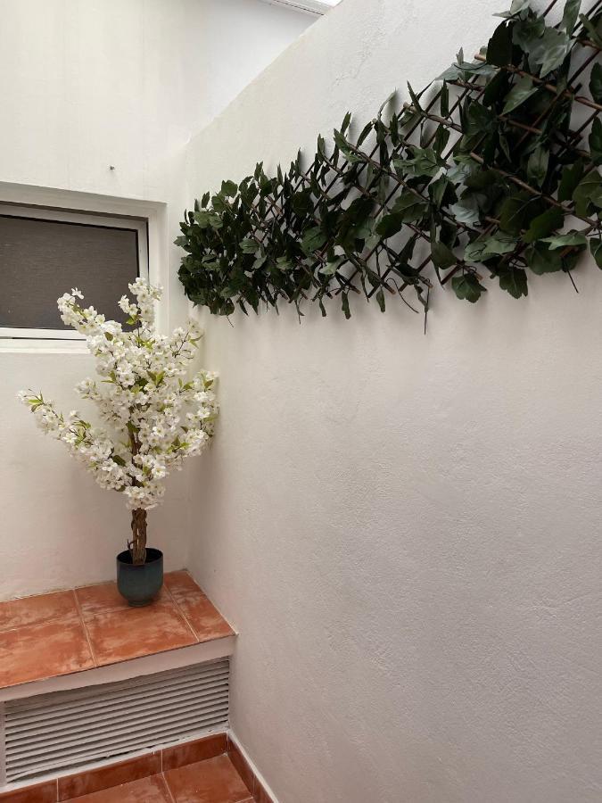Dream Recova Apartment Санта Крус де Тенерифе Екстериор снимка